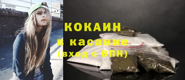 индика Армянск