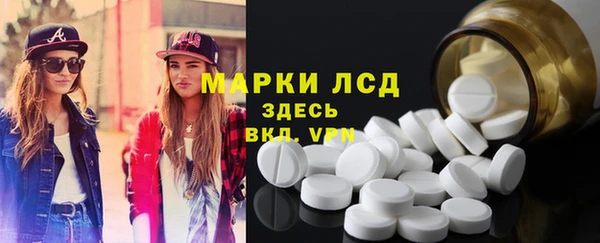 индика Армянск