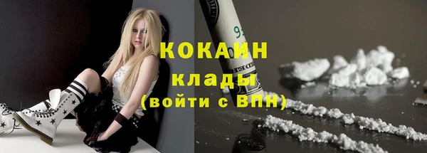 индика Армянск