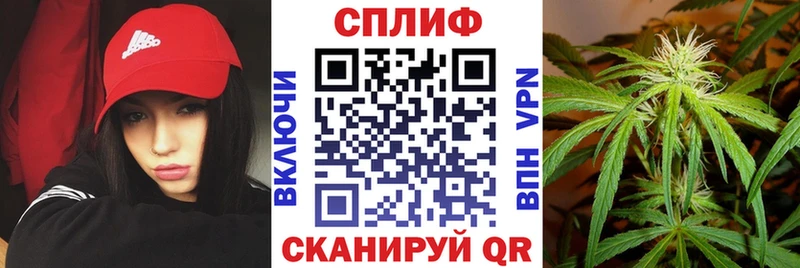 Бошки Шишки ГИДРОПОН  где купить наркоту  Салехард 